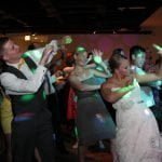 Peggy Notebaert Nature Museum Chicago Best Wedding DJ Blog Cover
