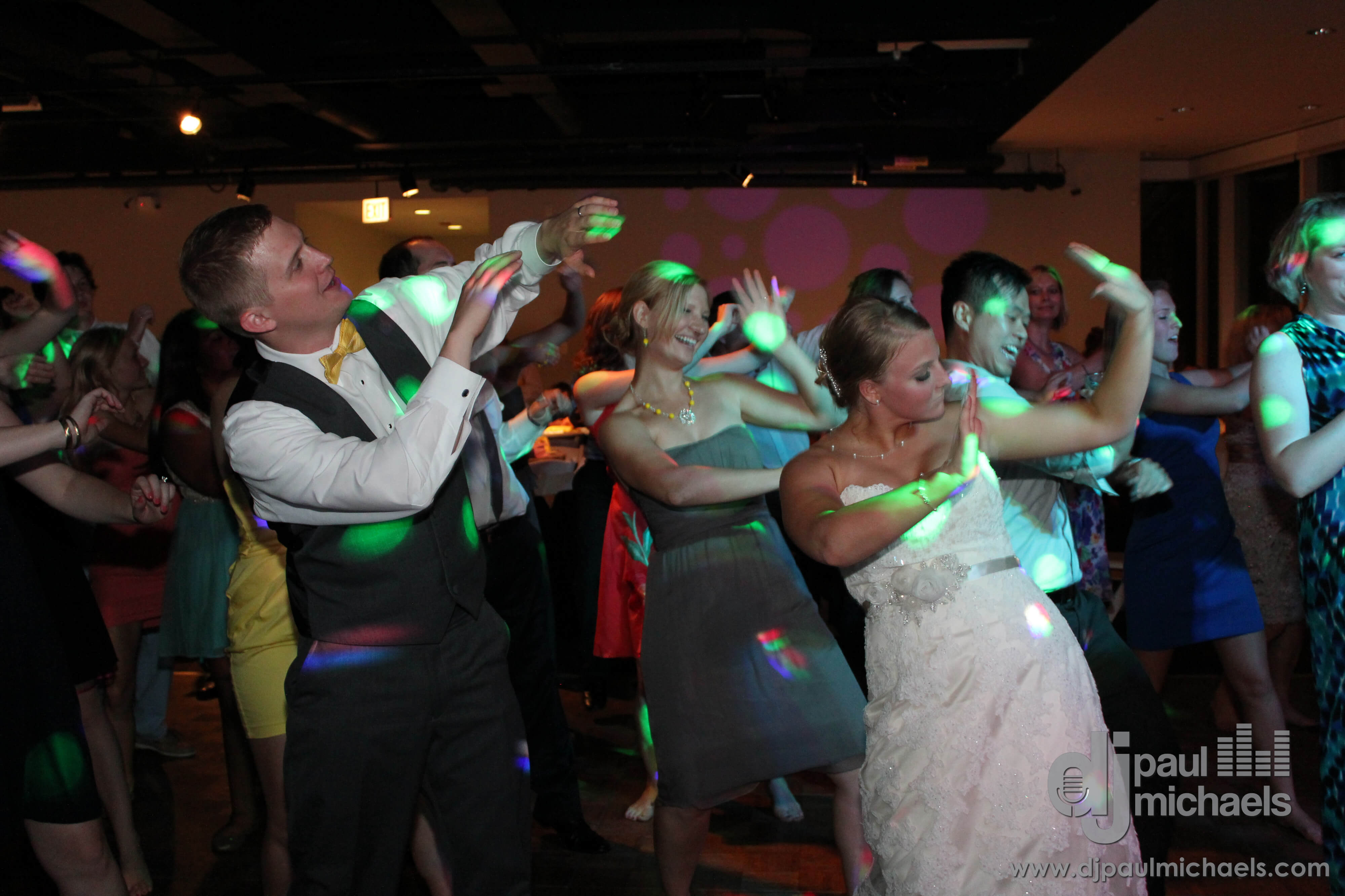 Peggy Notebaert Nature Museum Chicago Best Wedding DJ Blog Cover